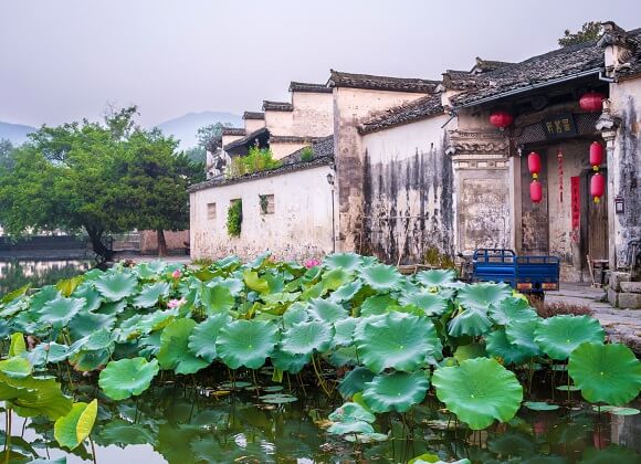 The lotus pond in front of the courtyard