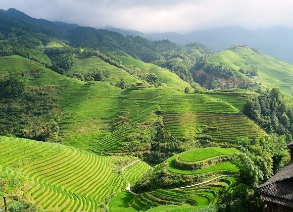 Guilin Longji Rice Terraces