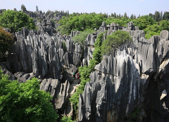 Stone Froest in Yunnan china