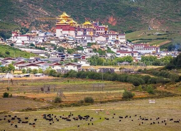 Ganden Sumtseling Monastery in Shangri-La