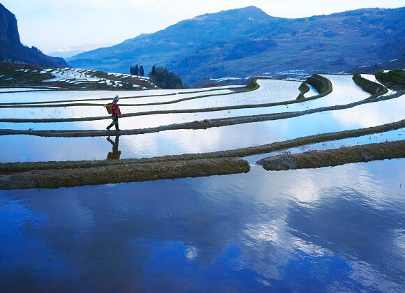 Yuanyang Rice Terraces in Yunnan