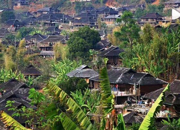 Xishuangbanna Jingmai mountain